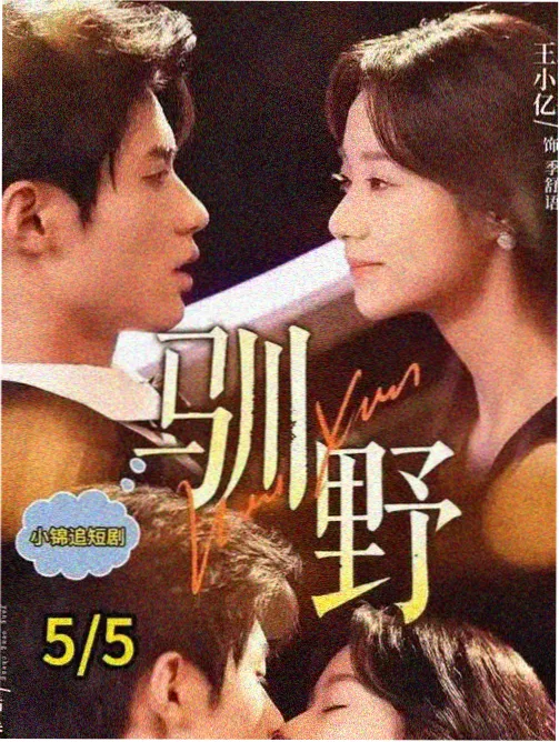 美剧在线直播 硅谷之外